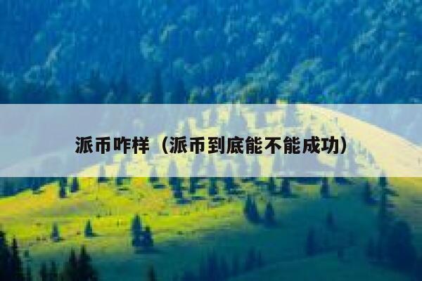 派币咋样（派币到底能不能成功） 第1张
