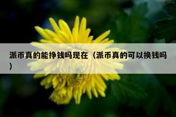 派币真的能挣钱吗现在（派币真的可以换钱吗） 第1张