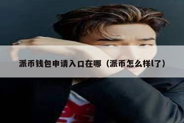 派币钱包申请入口在哪(派币怎么样l了) 第1张 派币钱包申请入口在哪(派币怎么样l了) 第1张