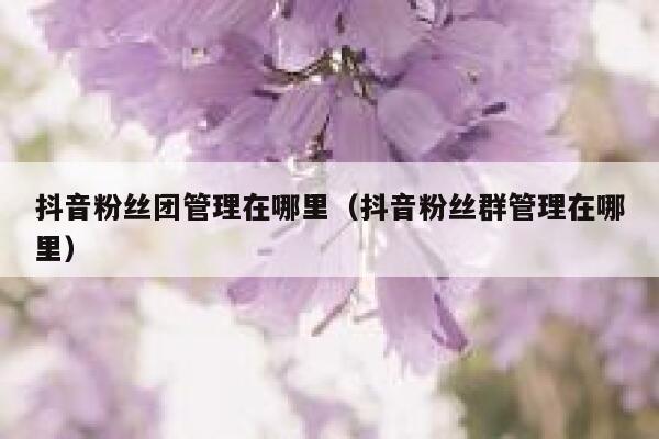 抖音粉丝团管理在哪里(抖音粉丝群管理在哪里) 第1张 抖音粉丝团管理在哪里(抖音粉丝群管理在哪里) 第1张