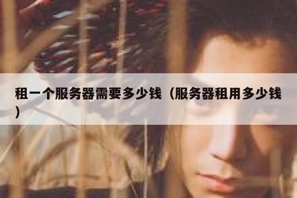 租一个服务器需要多少钱（服务器租用多少钱） 第1张
