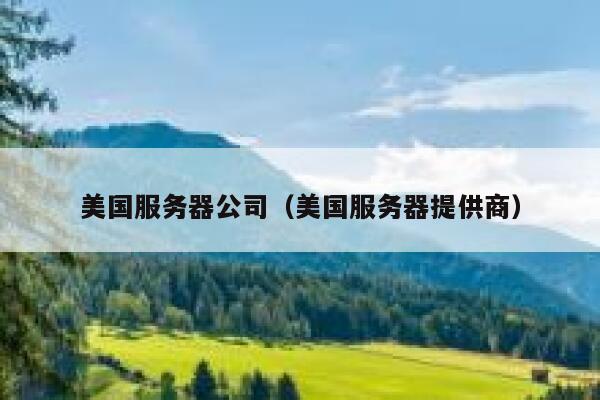 美国服务器公司(美国服务器提供商) 第1张 美国服务器公司(美国服务器提供商) 第1张