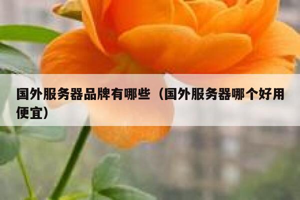 国外服务器品牌有哪些（国外服务器哪个好用便宜） 第1张