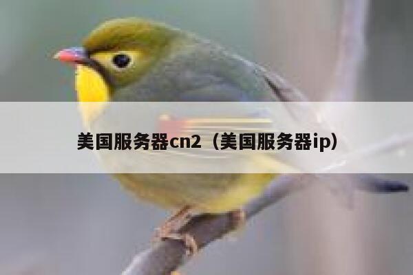 美国服务器cn2（美国服务器ip） 第1张