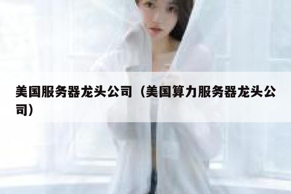 美国服务器龙头公司(美国算力服务器龙头公司) 第1张 美国服务器龙头公司(美国算力服务器龙头公司) 第1张