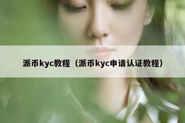 派币kyc教程(派币kyc申请认证教程) 第1张 派币kyc教程(派币kyc申请认证教程) 第1张