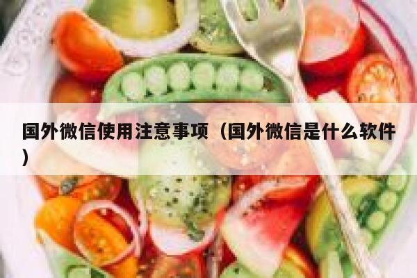 国外微信使用注意事项(国外微信是什么软件) 第1张 国外微信使用注意事项(国外微信是什么软件) 第1张