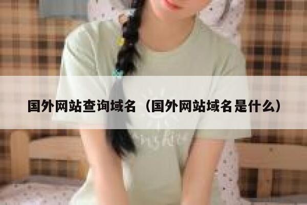 国外网站查询域名（国外网站域名是什么） 第1张