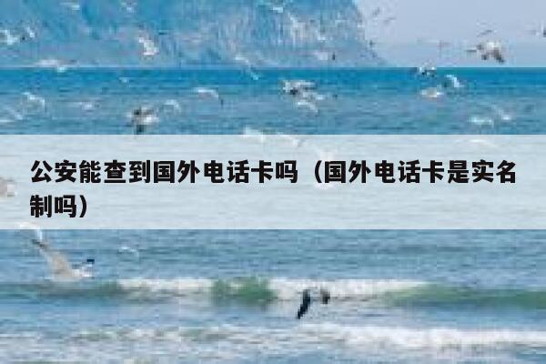 公安能查到国外电话卡吗(国外电话卡是实名制吗) 第1张 公安能查到国外电话卡吗(国外电话卡是实名制吗) 第1张