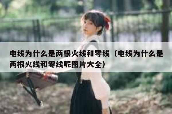 电线为什么是两根火线和零线(电线为什么是两根火线和零线呢图片大全) 第1张 电线为什么是两根火线和零线(电线为什么是两根火线和零线呢图片大全) 第1张