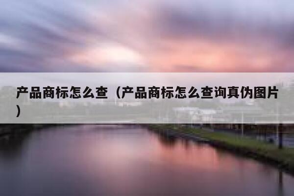 产品商标怎么查（产品商标怎么查询真伪图片） 第1张