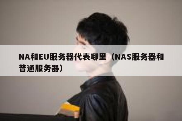 NA和EU服务器代表哪里（NAS服务器和普通服务器） 第1张