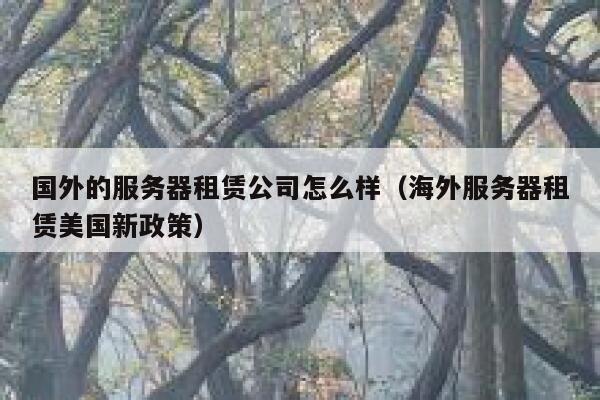国外的服务器租赁公司怎么样（海外服务器租赁美国新政策） 第1张