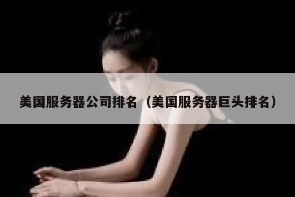 美国服务器公司排名（美国服务器巨头排名） 第1张