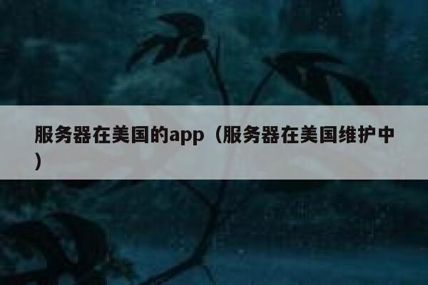 服务器在美国的app(服务器在美国维护中) 第1张 服务器在美国的app(服务器在美国维护中) 第1张