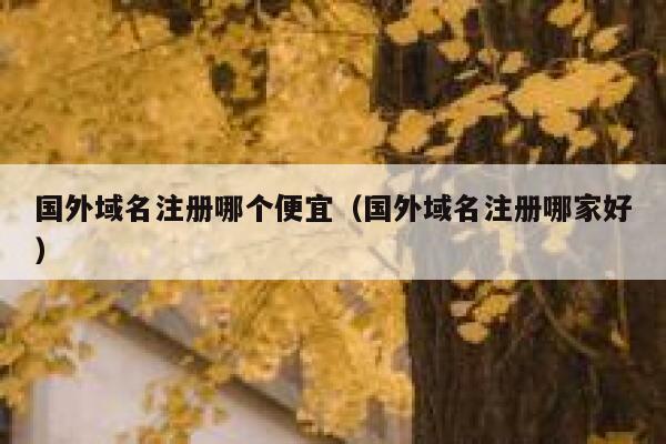 国外域名注册哪个便宜(国外域名注册哪家好) 第1张 国外域名注册哪个便宜(国外域名注册哪家好) 第1张