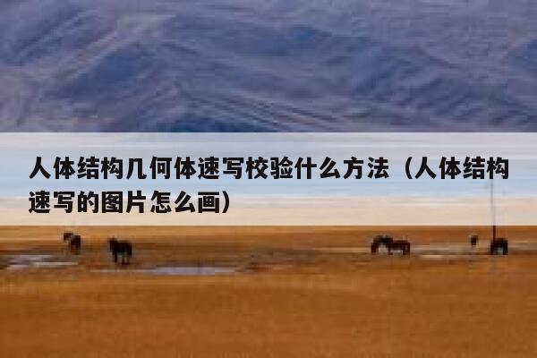 人体结构几何体速写校验什么方法（人体结构速写的图片怎么画） 第1张