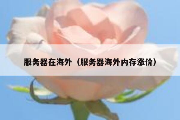 服务器在海外(服务器海外内存涨价) 第1张 服务器在海外(服务器海外内存涨价) 第1张