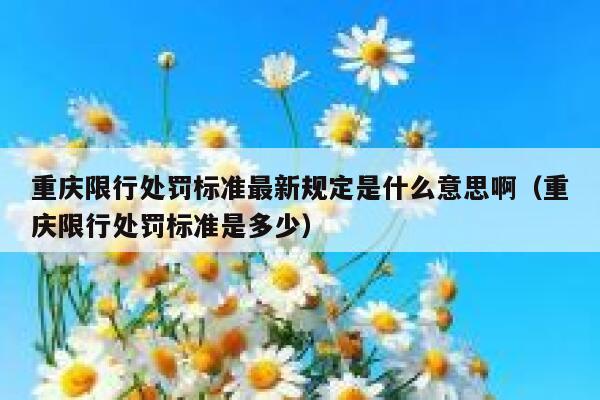 重庆限行处罚标准最新规定是什么意思啊(重庆限行处罚标准是多少) 第1张 重庆限行处罚标准最新规定是什么意思啊(重庆限行处罚标准是多少) 第1张