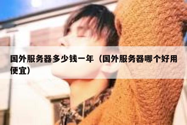 国外服务器多少钱一年(国外服务器哪个好用便宜) 第1张 国外服务器多少钱一年(国外服务器哪个好用便宜) 第1张