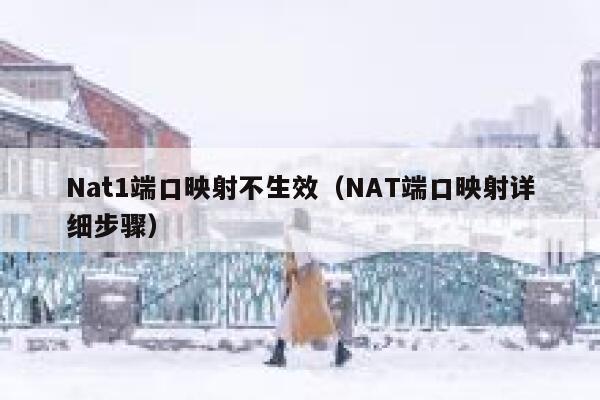 Nat1端口映射不生效（NAT端口映射详细步骤） 第1张