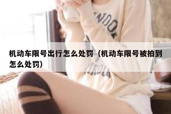 机动车限号出行怎么处罚(机动车限号被拍到怎么处罚) 第1张 机动车限号出行怎么处罚(机动车限号被拍到怎么处罚) 第1张