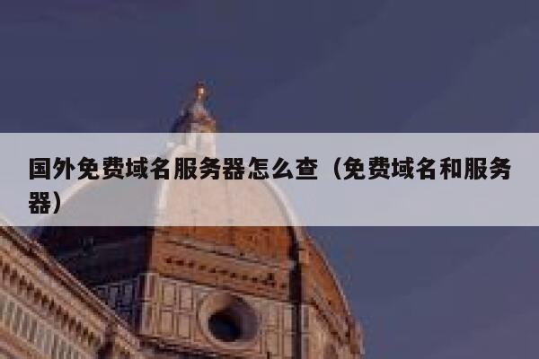 国外免费域名服务器怎么查(免费域名和服务器) 第1张 国外免费域名服务器怎么查(免费域名和服务器) 第1张
