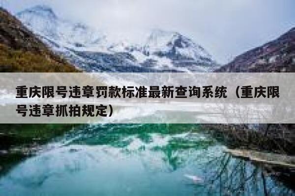 重庆限号违章罚款标准最新查询系统（重庆限号违章抓拍规定） 第1张