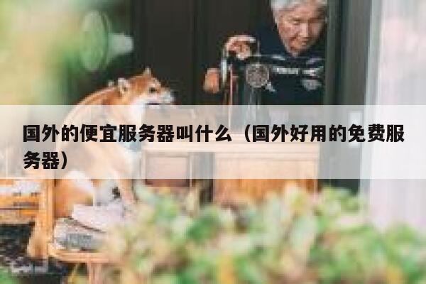 国外的便宜服务器叫什么(国外好用的免费服务器) 第1张 国外的便宜服务器叫什么(国外好用的免费服务器) 第1张