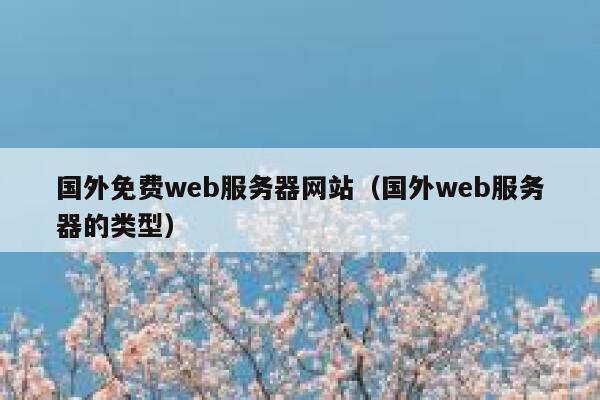 国外免费web服务器网站（国外web服务器的类型） 第1张
