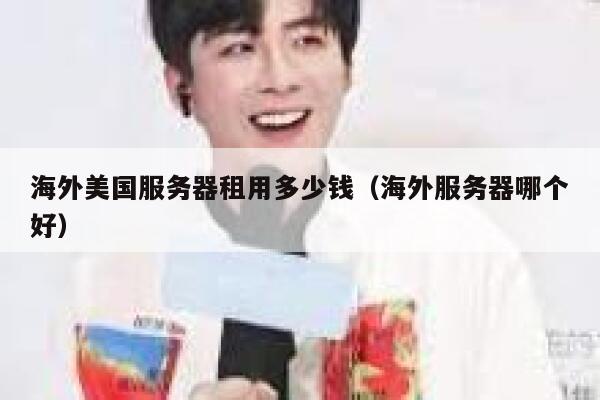 海外美国服务器租用多少钱（海外服务器哪个好） 第1张