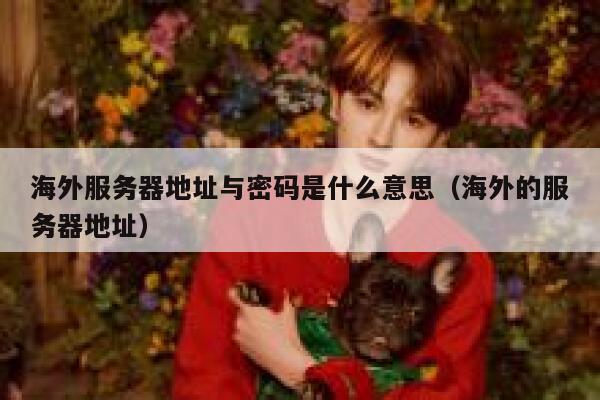 海外服务器地址与密码是什么意思（海外的服务器地址） 第1张