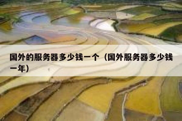 国外的服务器多少钱一个（国外服务器多少钱一年） 第1张