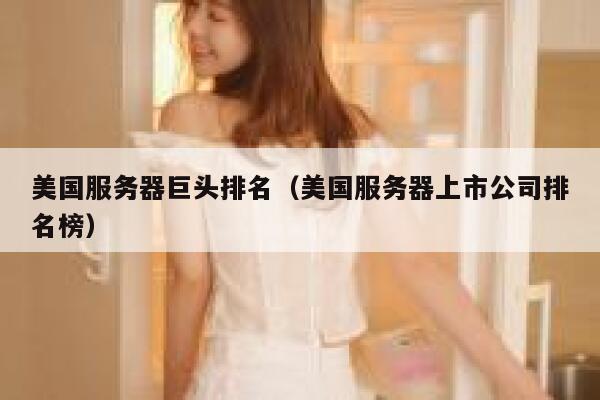 美国服务器巨头排名(美国服务器上市公司排名榜) 第1张 美国服务器巨头排名(美国服务器上市公司排名榜) 第1张