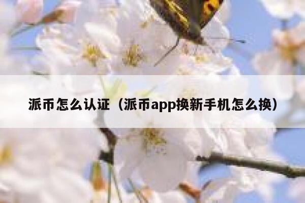 派币怎么认证(派币app换新手机怎么换) 第1张 派币怎么认证(派币app换新手机怎么换) 第1张