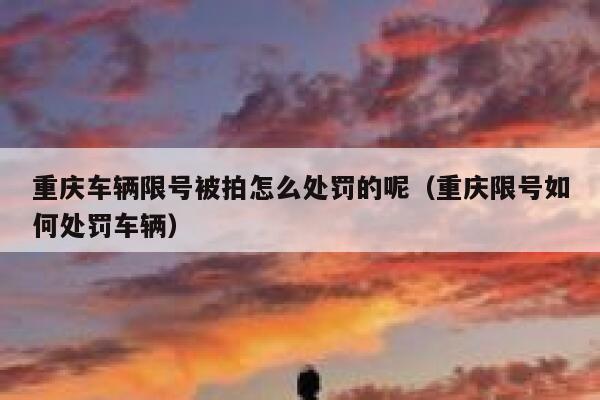 重庆车辆限号被拍怎么处罚的呢(重庆限号如何处罚车辆) 第1张 重庆车辆限号被拍怎么处罚的呢(重庆限号如何处罚车辆) 第1张