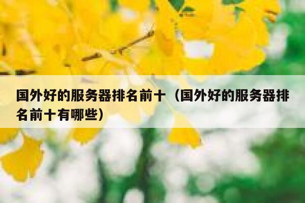 国外好的服务器排名前十（国外好的服务器排名前十有哪些） 第1张