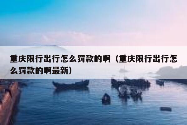 重庆限行出行怎么罚款的啊（重庆限行出行怎么罚款的啊最新） 第1张