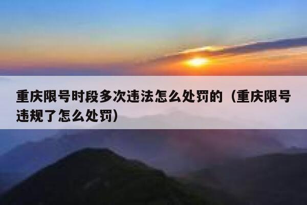 重庆限号时段多次违法怎么处罚的(重庆限号违规了怎么处罚) 第1张 重庆限号时段多次违法怎么处罚的(重庆限号违规了怎么处罚) 第1张