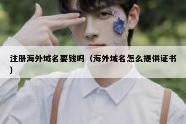 注册海外域名要钱吗（海外域名怎么提供证书） 第1张