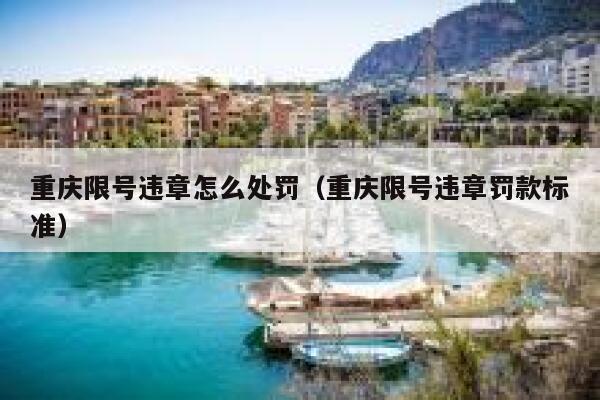 重庆限号违章怎么处罚(重庆限号违章罚款标准) 第1张 重庆限号违章怎么处罚(重庆限号违章罚款标准) 第1张