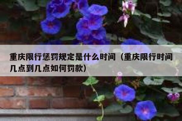 重庆限行惩罚规定是什么时间(重庆限行时间几点到几点如何罚款) 第1张 重庆限行惩罚规定是什么时间(重庆限行时间几点到几点如何罚款) 第1张