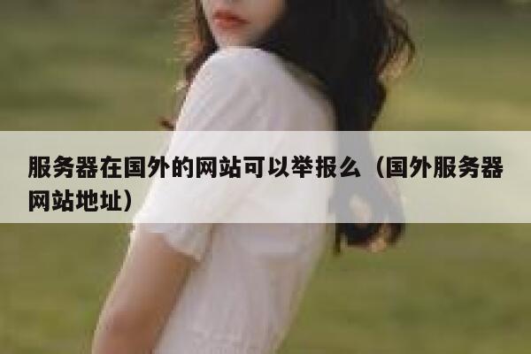 服务器在国外的网站可以举报么（国外服务器网站地址） 第1张