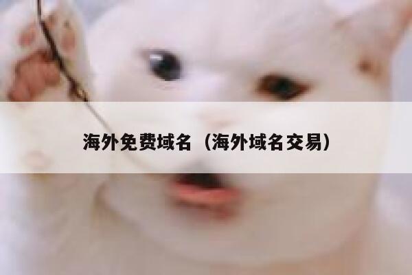 海外免费域名(海外域名交易) 第1张 海外免费域名(海外域名交易) 第1张