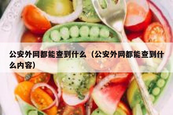 公安外网都能查到什么（公安外网都能查到什么内容） 第1张