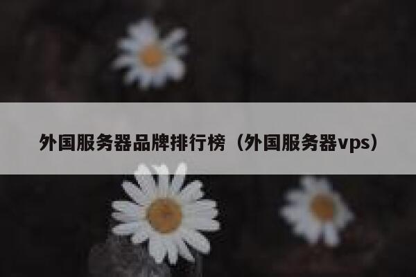 外国服务器品牌排行榜（外国服务器vps） 第1张