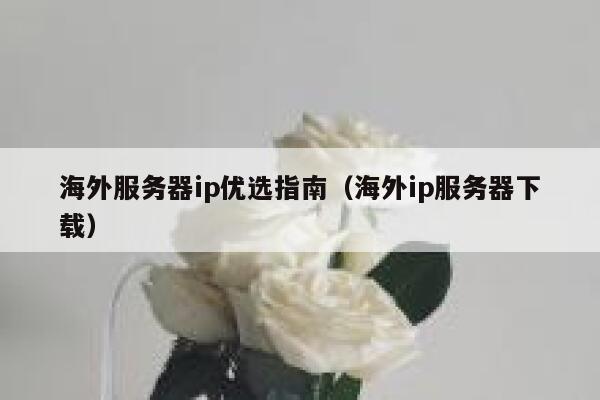 海外服务器ip优选指南（海外ip服务器下载） 第1张