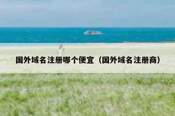 国外域名注册哪个便宜(国外域名注册商) 第1张 国外域名注册哪个便宜(国外域名注册商) 第1张