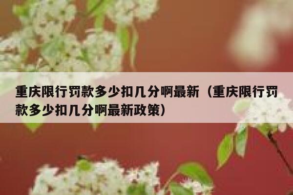 重庆限行罚款多少扣几分啊最新(重庆限行罚款多少扣几分啊最新政策) 第1张 重庆限行罚款多少扣几分啊最新(重庆限行罚款多少扣几分啊最新政策) 第1张