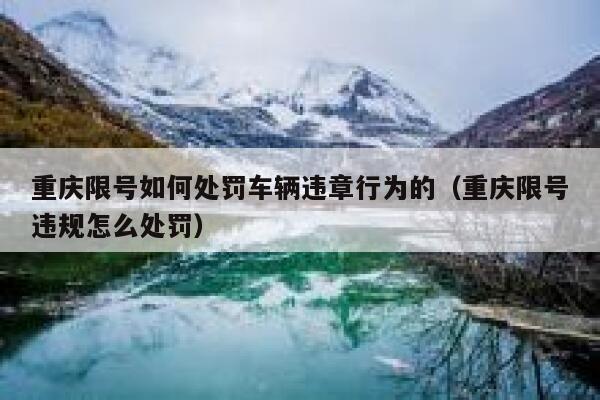 重庆限号如何处罚车辆违章行为的(重庆限号违规怎么处罚) 第1张 重庆限号如何处罚车辆违章行为的(重庆限号违规怎么处罚) 第1张